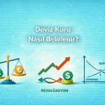 Döviz Kuru Nasıl Belirlenir?